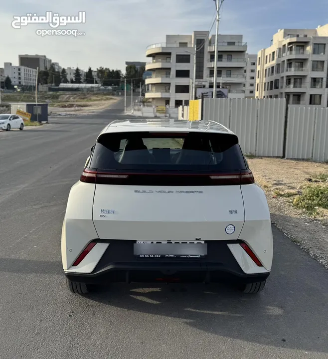 BYD Seagull 2024