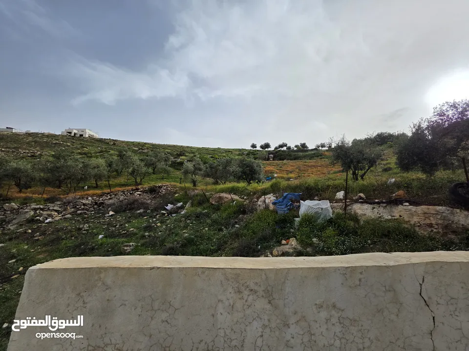 شقة ملوكية بإطلالة خلابة جدا أحكام خاصة أ مساحة داخلية وخارجية. 660 متر مربع أكبر مساحة لشقة