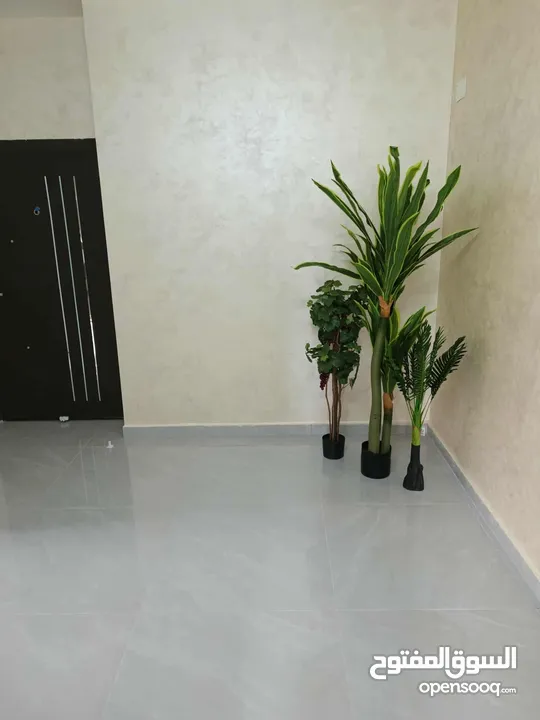 شقة للاستثمار او السكن الفوري