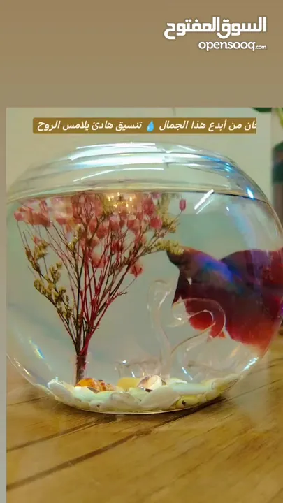 "جديد روح تنسيق أنيق لحوض الفايتر مع ناعورة وأحجار زينة طبيعية"