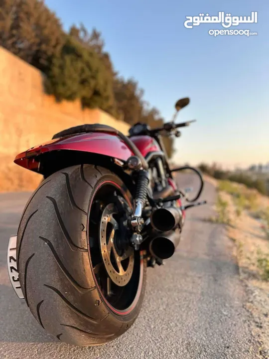 Harley davidson