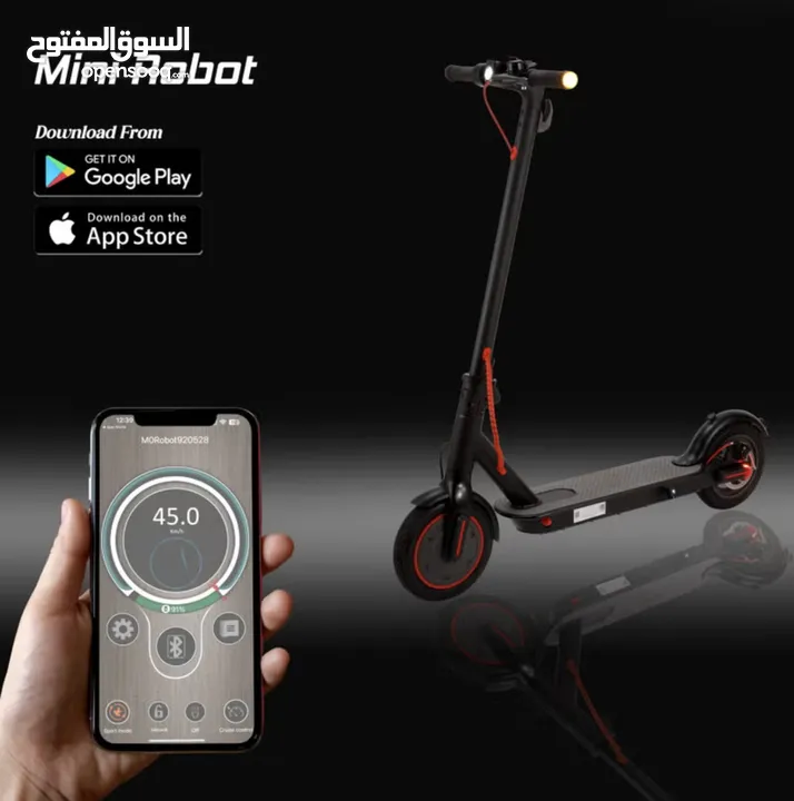 Electric Scooter