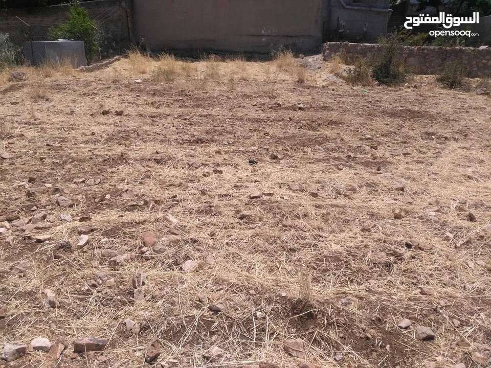 ارض للبيع في عجلون (صخرة)