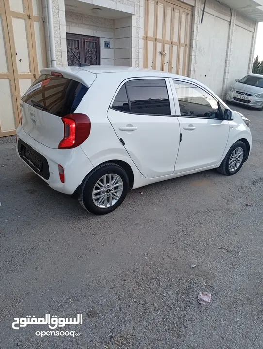 بيكانتو 2022 سعر حرق على الكاش إمكانية البيع نص كاش ونص شكات مع فرق في السعر