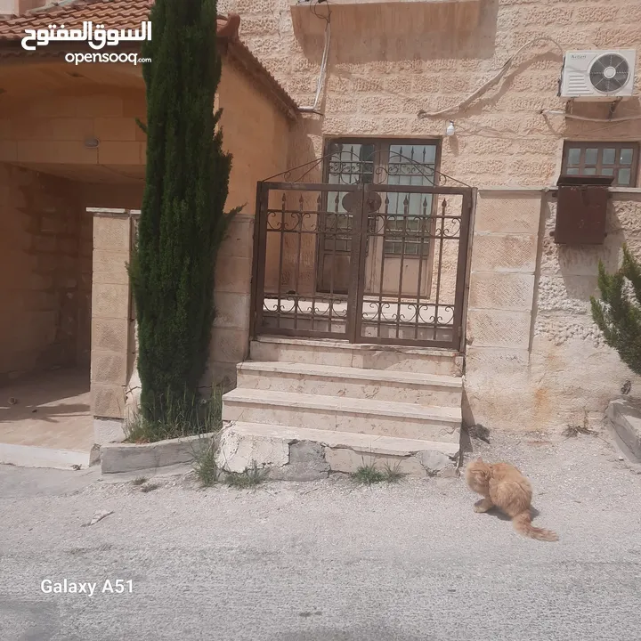 شقة للبيع شبه ارضي بأجمل مناطق ضاحية الرشيد
