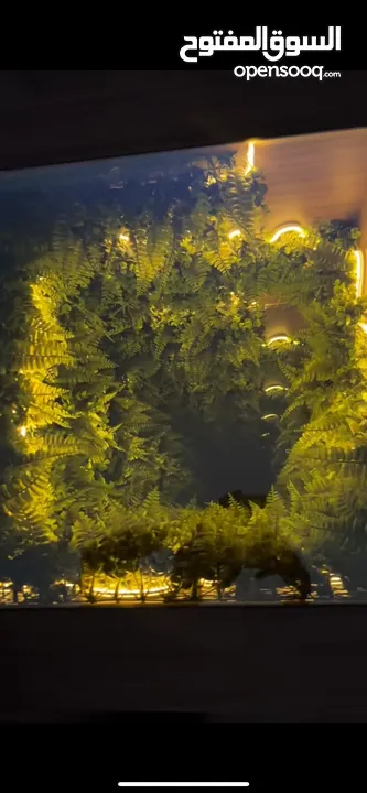 طاولات 3d سحريه