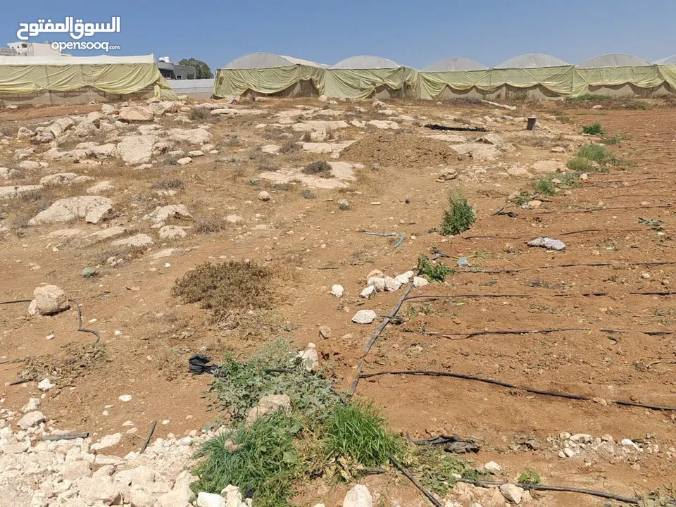 ارض للبيع في منطقه السموع تصنيف الف