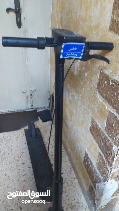سكوتر بيرد