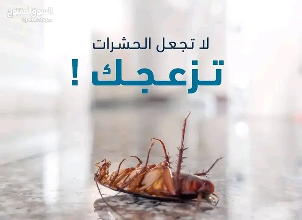 مكافحة الحشرات المنزلية بكل أنواعها في صنعاء