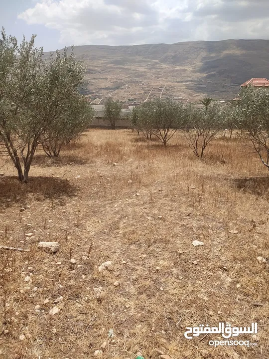 بيع قطعة ارض