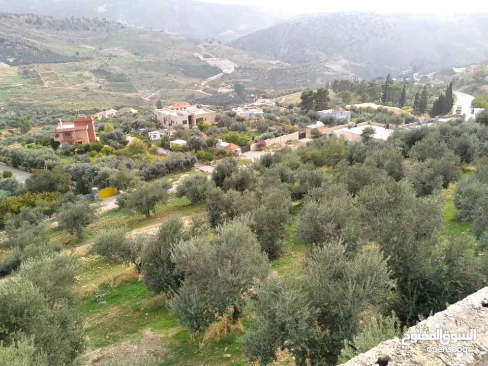 ارض في وادي شعيب مع بيت ريفي طابقين