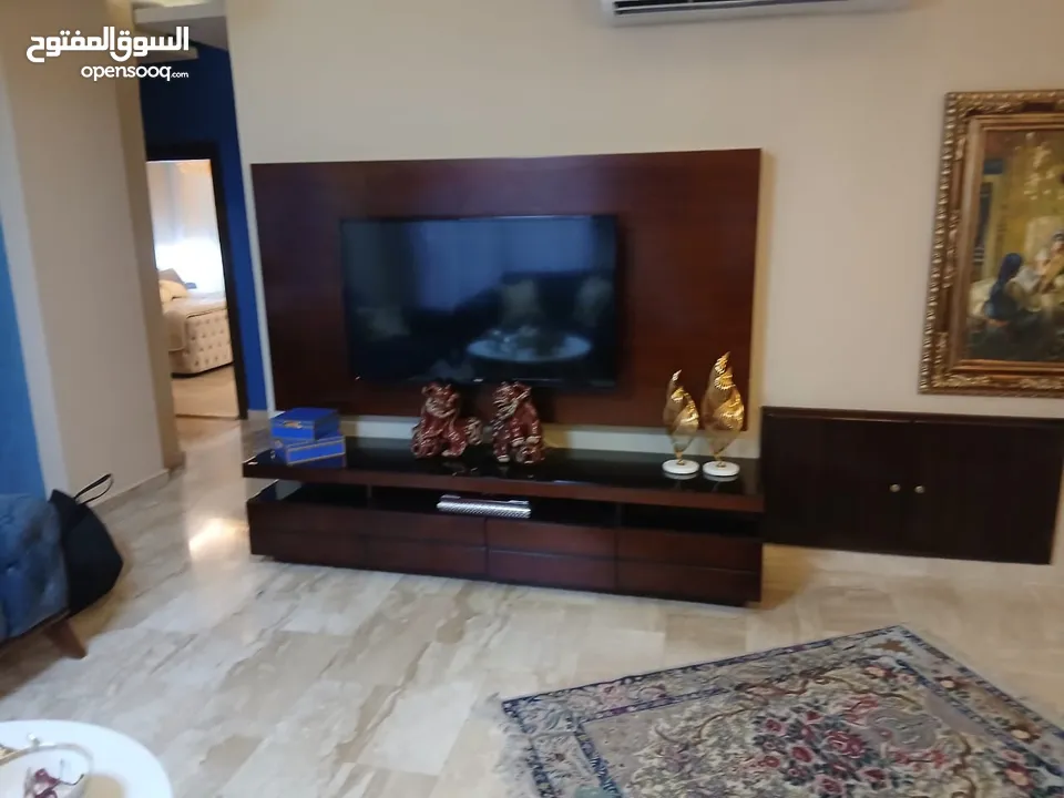 شقه طارق ارضي