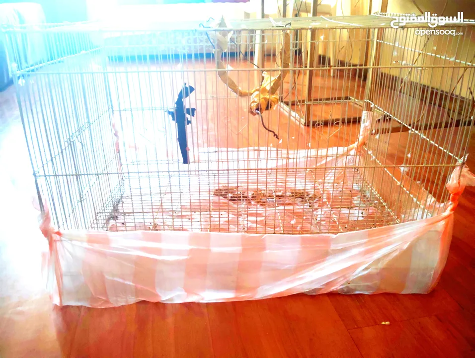 bird cage for sale