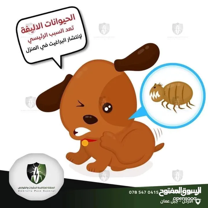 مكافحة الحشرات وبق الفراش و الصراصير والنمل وعثة الغبار والبراغيث والفئران بكفالة حقيقية في الاردن