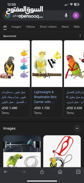 مطلوب حبل ببغاء للطيران الحر