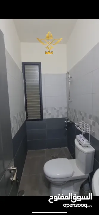 استوديو للايجار لشب