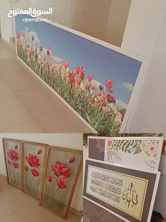 مجموعه صور احجام مختلفه