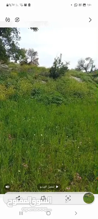 ارض للبيع  مساحة 620 متر مربع