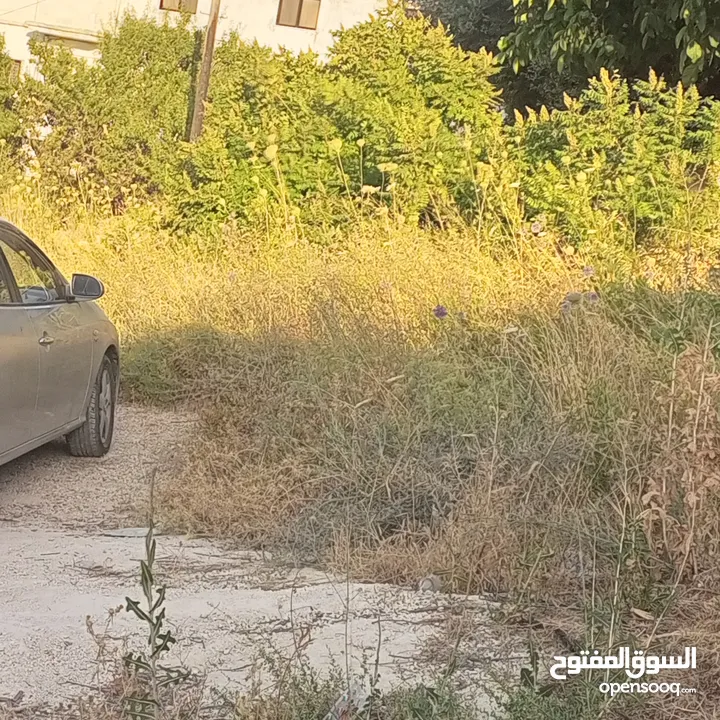 قطعه أرض في نقب الدبور السلط للبيع بسعر مغري
