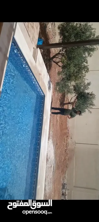 بناء وصيانة برك السباحة من تسريب المياه وصيانة غرفة المكانيك ...