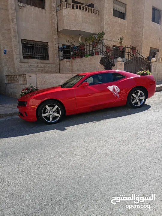 فورد موستينج كشف للأعراس والمناسبات والايام