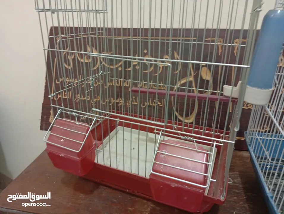 قفصين واحد جديد و تاني مستعمل