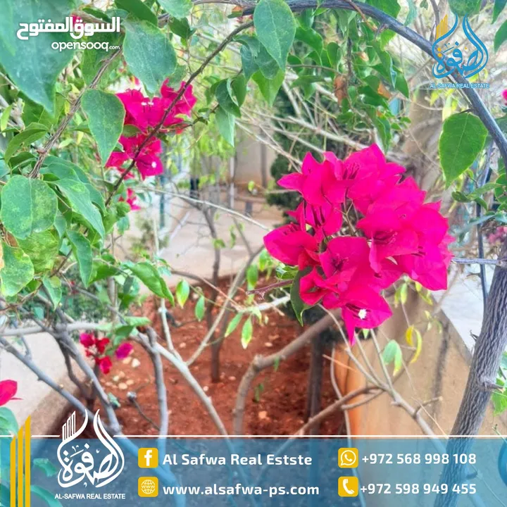 شقه مميزه مع حديقه و مدخل خاص فرش جديد لم يستخدم بعد ـ البيره قرب الصحه ـ عائله صغيره او  وعرسان