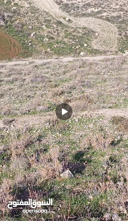 بيع أراضي من المالك مباشره