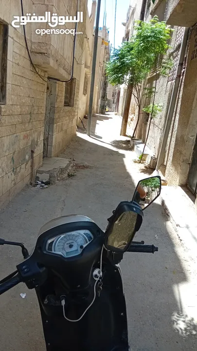 سكوتر اكسس للبيع