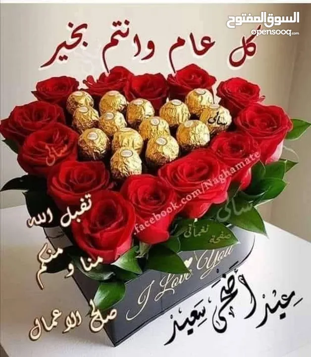 مطلوب دجاج بلادي