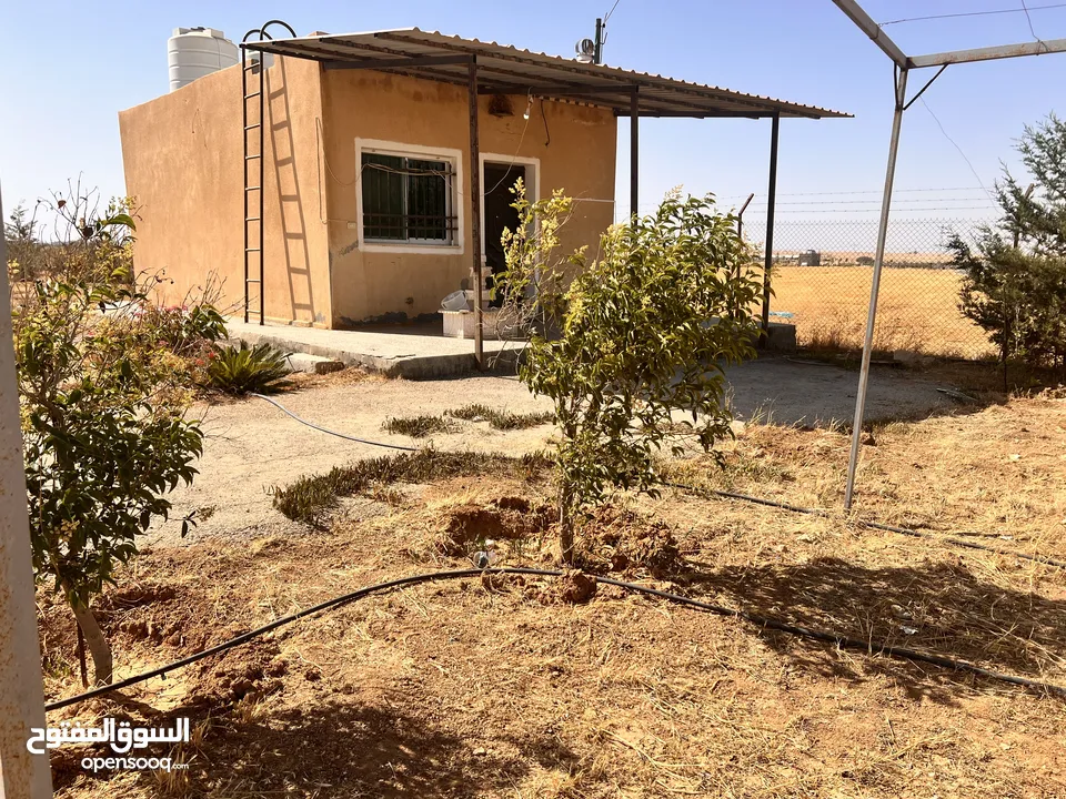 قطعة أرض وبيتين  ومزرعه جاهز للسكن