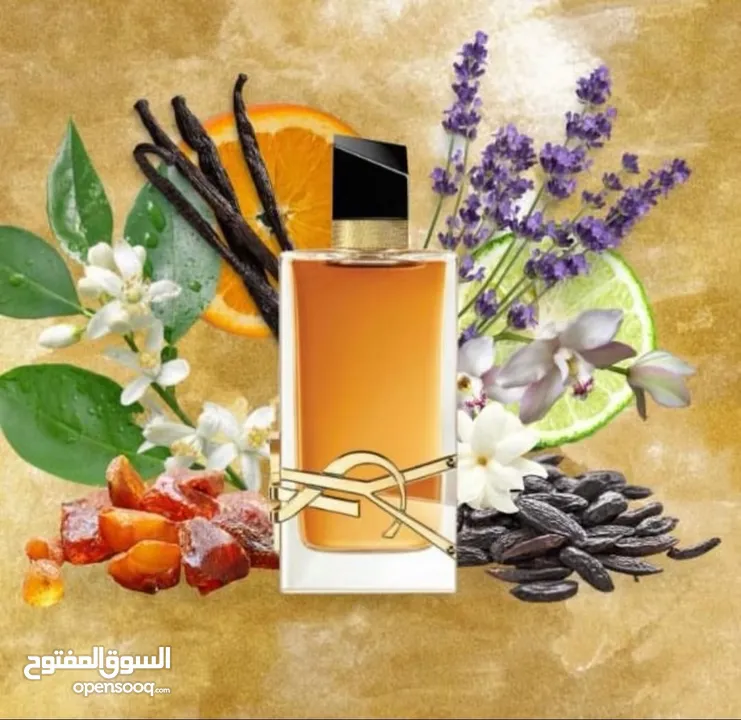 عطور فرنسي تصفيه شركات اورجينل مختوم مع امكانيه المعاينه وتفقد العطور خصومات شركات متجر بيع جمله لكل