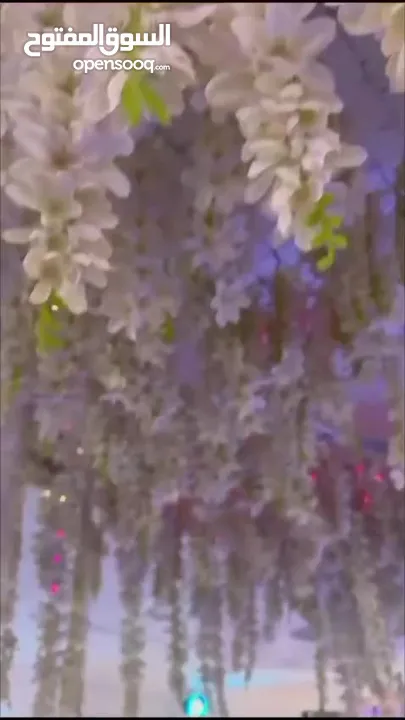 بكج حنا العروس