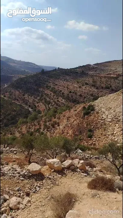 فرصة استثمارية في مدينة روابي –