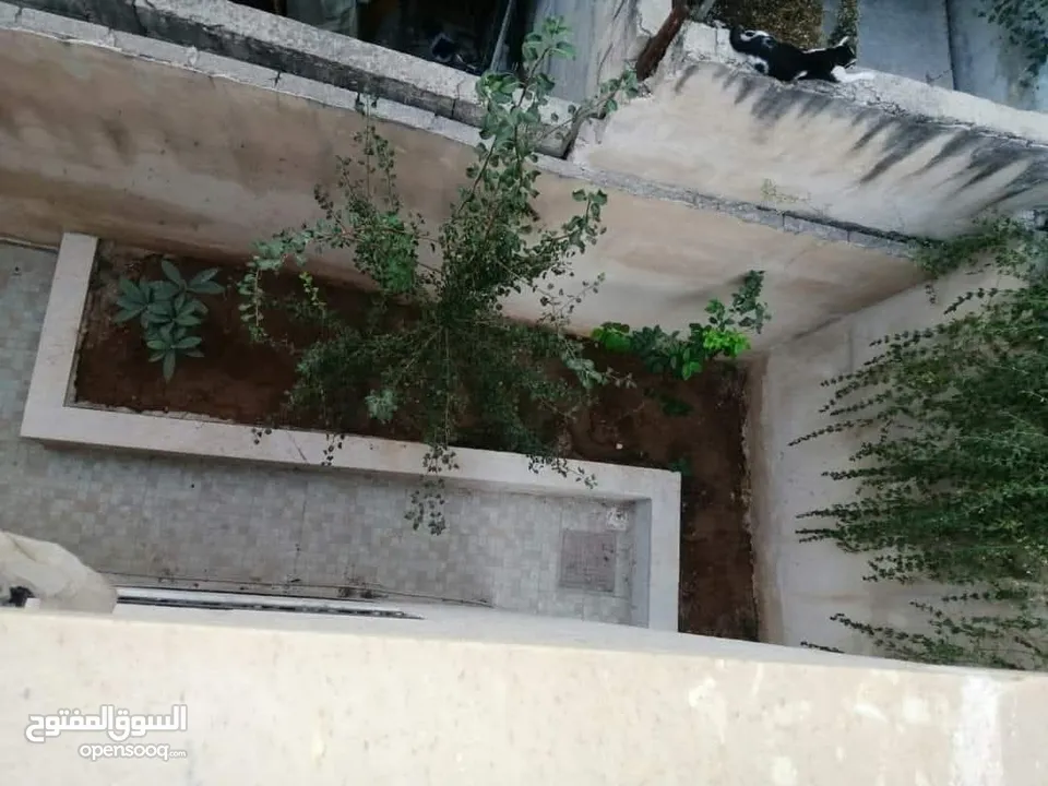 منزل مستقل للبيع عمان ضاحية  الامير حسن اخر دخلة مطعم الرملة شارع حمدان البشير