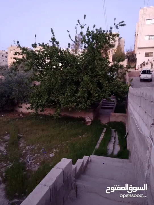 أرض للبيع بمساحه 678:340 متر عليه بيت قديم 100م يوجد فيها أشجار الزيتون وتوت وتين ولمون وعنب على شار