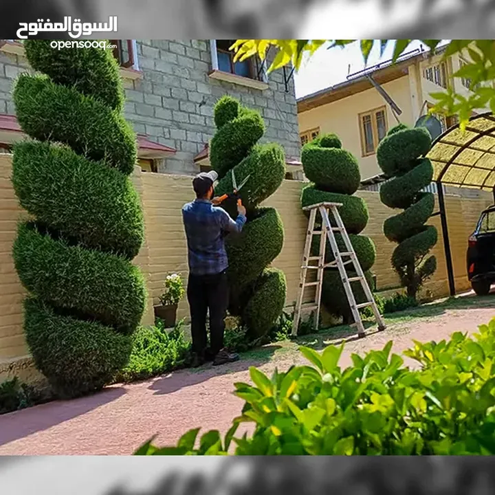 تنسيق و صيانة حدائق و انشاء و صيانة شبكات الري في جميع مناطق الكويت