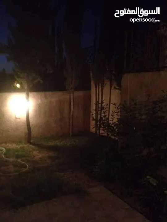 ستديو بالرابية للايجار اليومي