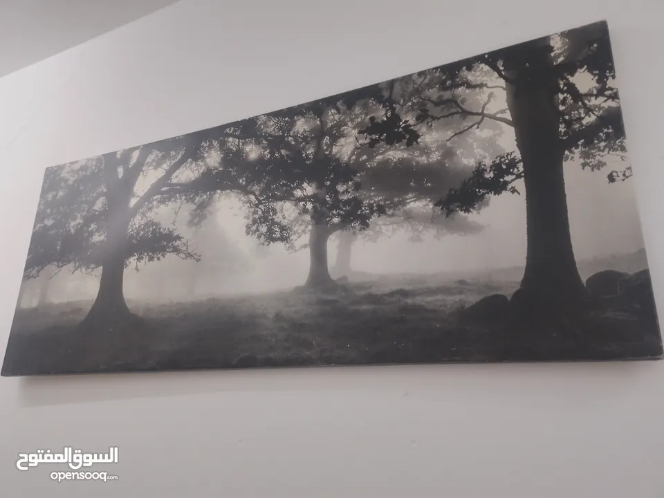 لوحات مستعمل للبيع