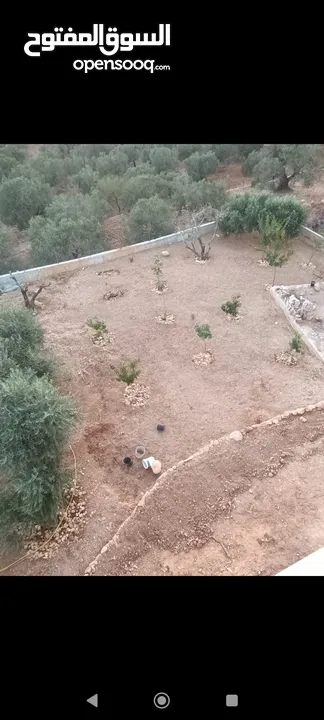 بيت جديد غير مسكون مكون من ثلاث طوابق في المزرعه الغربيه بالقرب من شركة النزيه للبلاط