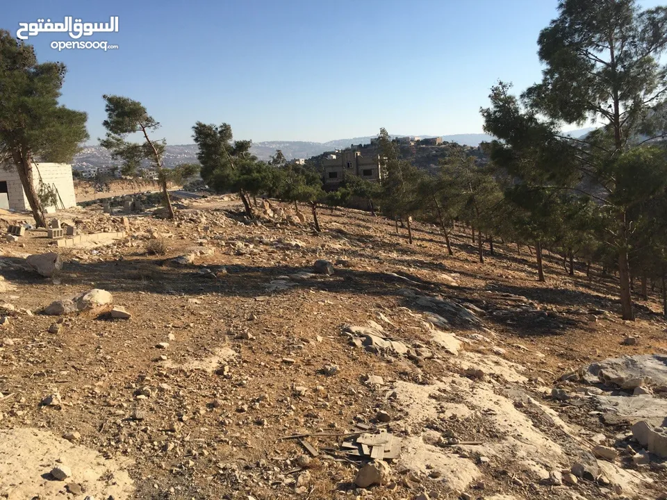 ارض للبيع  عمان شارع الاردن تقاطع شارع الاردن مع شارع عمان-جرش  الرئيسي ملاصقه لغابات وصفي التل