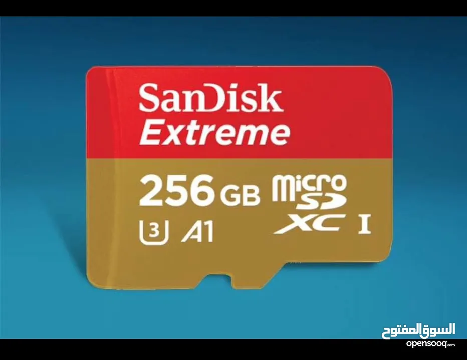 SteamDeck 256GB + Sandisk Extreme 256GB + Case UB pro