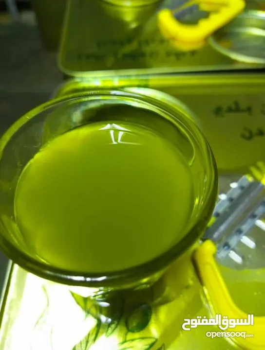 زيت زيتون إنتاج السنة الحالية
