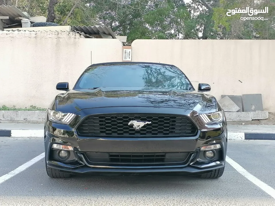 فورد موستنج ستة سلندر 2017 كشف Ford Mustang V6 Convertible