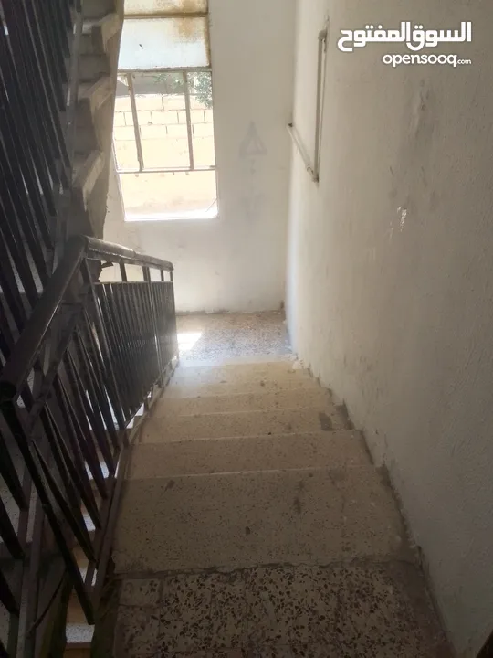 شقة طابق اول