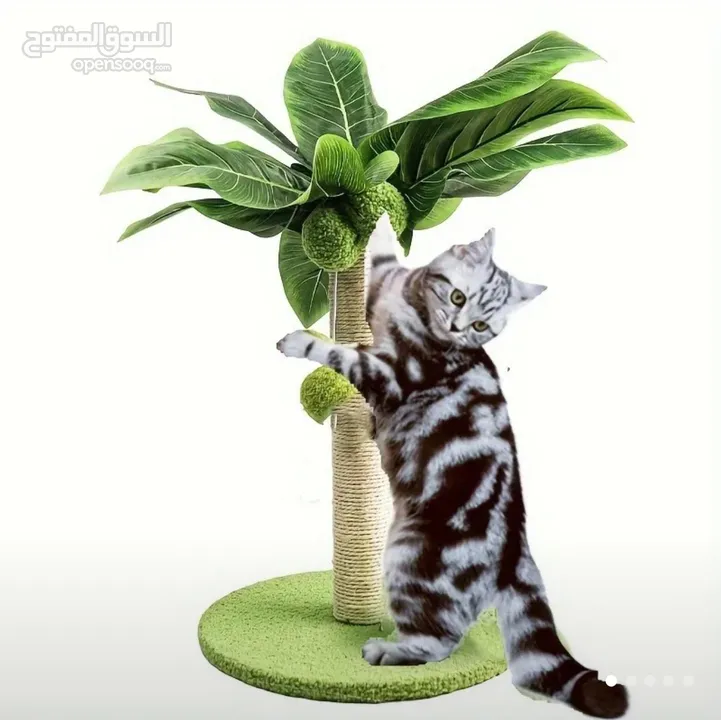 اغراض قطة للبيع غير مستخدمة cat accessories for sale
