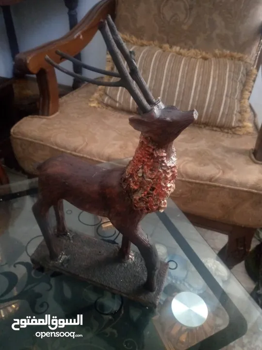 مناظر حيوانات للبيع بسعر مغري