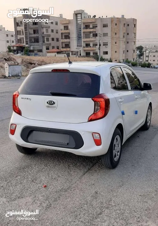 كيا مورننج تب نظافة للبيع كاش أو أقساط عن طريق الشركات الإسلامية فحص كامل 7 جيد