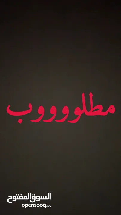 مطلوب هوندا أكوورد