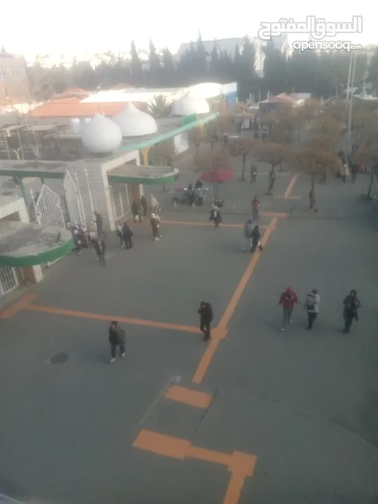مطلوب شريك سكن لاستديو مفروش مقابل الجامعة الاردنية